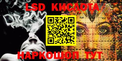 2c-b Кингисепп