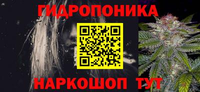 2c-b Кингисепп