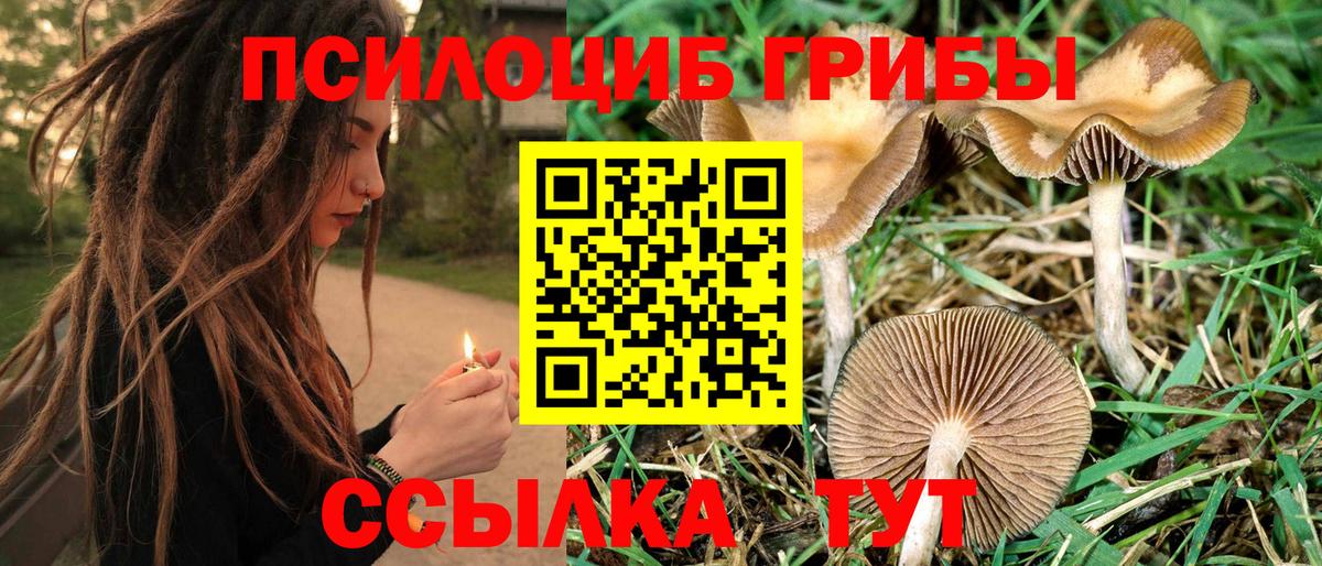 Клин  Галлюциногенные грибы прущие грибы  Вход с VPN 